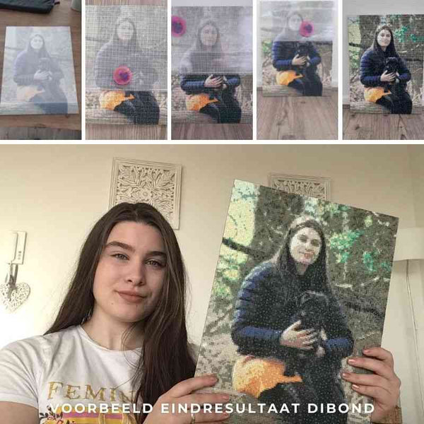 Diamond painting - voorbeeld eindresultaat