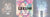 Diamond painting leeuw